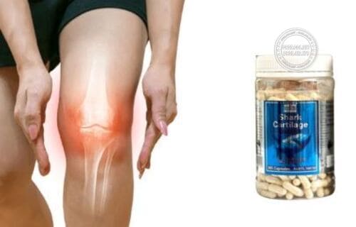 sun-ca-map-shark-cartilage-365-vien-gia-bao-nhieu-mua-o-dau-uy-tin1